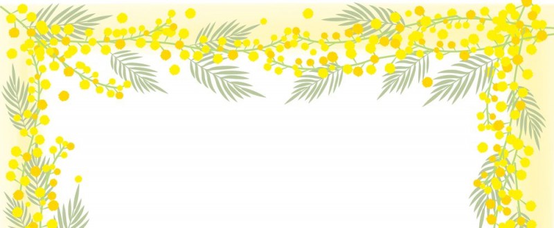 ミモザの花｜黄色の花｜フレーム（飾り枠）｜無料｜ダウンロード