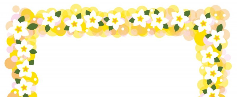 プルメリア｜黄色の花｜フレーム（飾り枠）｜無料｜ダウンロード