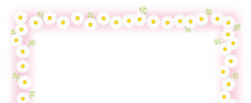 マーガレットの花｜白色の花｜フレーム（飾り枠）｜無料｜ダウンロード