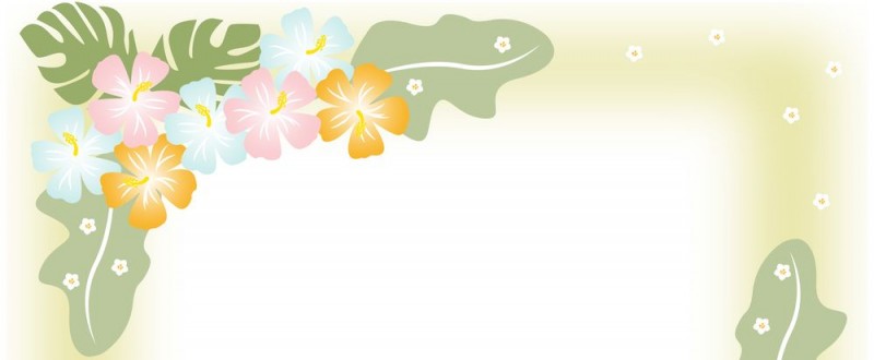 ハイビスカスの花｜カラフルな花｜フレーム（飾り枠）｜無料｜ダウンロード