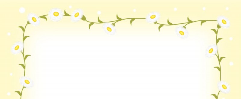 ヒメジョオンの花｜白色の花｜フレーム（飾り枠）｜無料｜ダウンロード