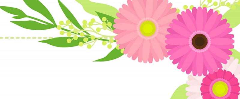 花｜ガーベラ｜ピンク｜ボタニカル｜植物｜かわいい｜おしゃれ｜フレーム（飾り枠）｜無料｜ダウンロード