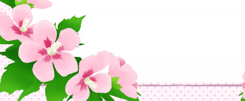 花｜むくげ｜ムクゲ｜かわいい｜ピンク｜上品｜植物｜夏｜フレーム（飾り枠）｜無料｜ダウンロード