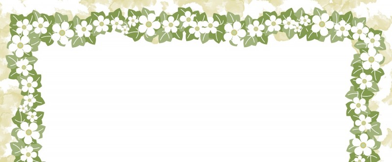 シュウメイギクの花｜白色の花｜フレーム（飾り枠）｜無料｜ダウンロード