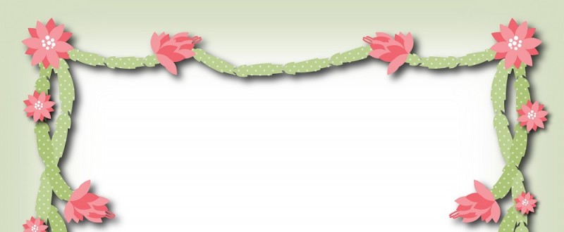シャコバサボテン｜ピンク色の花｜フレーム（飾り枠）｜無料｜ダウンロード