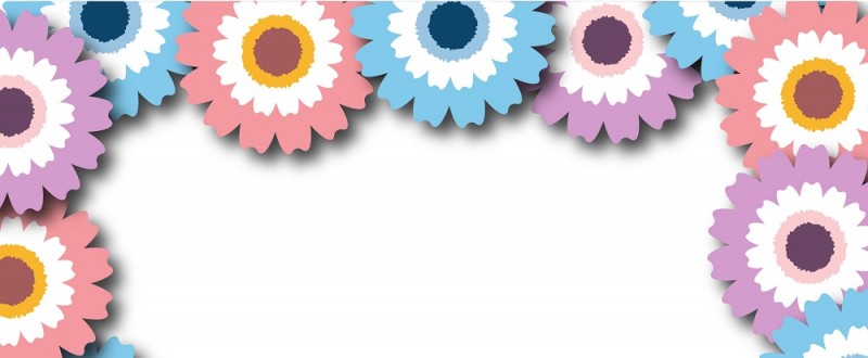 サイネリアの花｜カラフルな花｜フレーム（飾り枠）｜無料｜ダウンロード