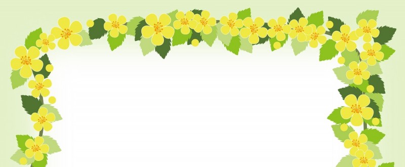 山吹の花｜黄色の花｜フレーム（飾り枠）｜無料｜ダウンロード