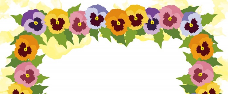 カラフルな パンジーの花 かわいい花のイラストの無料フレーム リアルな手書き風 フレーム 飾り枠 Decome