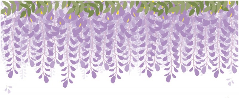 藤の花｜紫色の花｜フレーム（飾り枠）｜無料｜ダウンロード