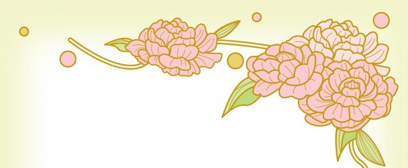 芍薬の花｜ピンク色の花｜フレーム（飾り枠）｜無料｜ダウンロード