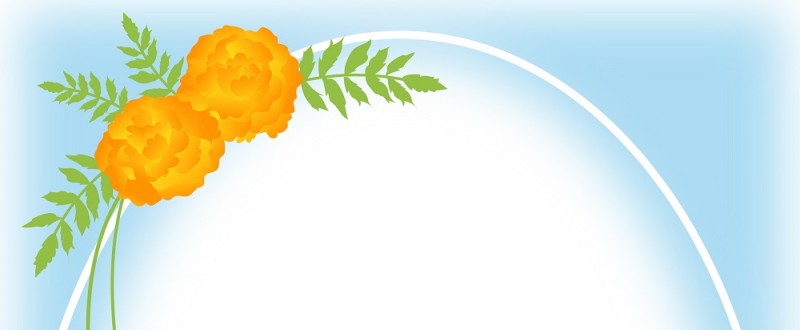 マリーゴールド｜オレンジ色の花｜フレーム（飾り枠）｜無料｜ダウンロード