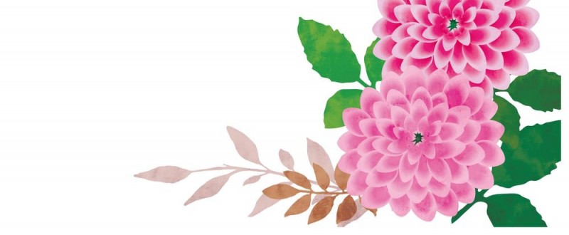 綺麗な和柄の花フレーム！ピンクの大きなかわいいダリアの背景イラスト