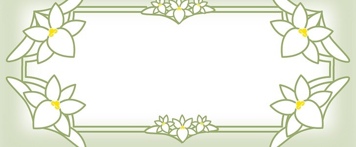 アングレカム｜白色の花｜フレーム（飾り枠）｜無料｜ダウンロード