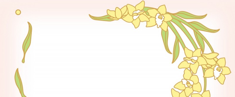シンビジウム｜黄色の花｜フレーム（飾り枠）｜無料｜ダウンロード